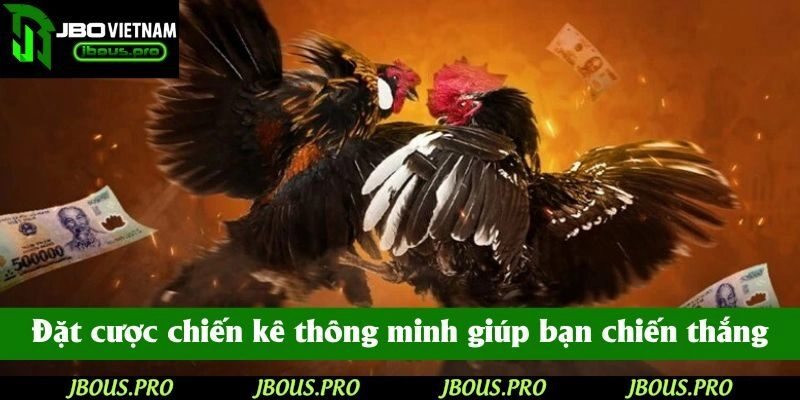 Đặt cược chiến kê thông minh giúp bạn chiến thắng dễ dàng